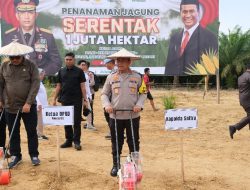 Penanaman Jagung Serentak di Kabupaten Konawe, Kolaborasi Polri dan Berbagai Pihak untuk Ketahanan Pangan Nasional