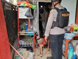 Kerahkan unit K-9, Polda NTB gerebek kampung narkoba dan Amankan 29,72 Gram Sabu