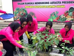 Bhayangkari Satbrimobda Sultra Panen Sayur di Pekarangan Pangan Bergizi
