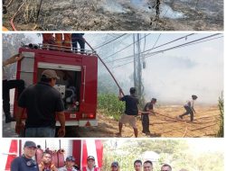 Respon Cepat Polsek Abeli Bersama TNI, Damkar dan Masyarakat Tangani Kebakaran Lahan di Kec, Abeli